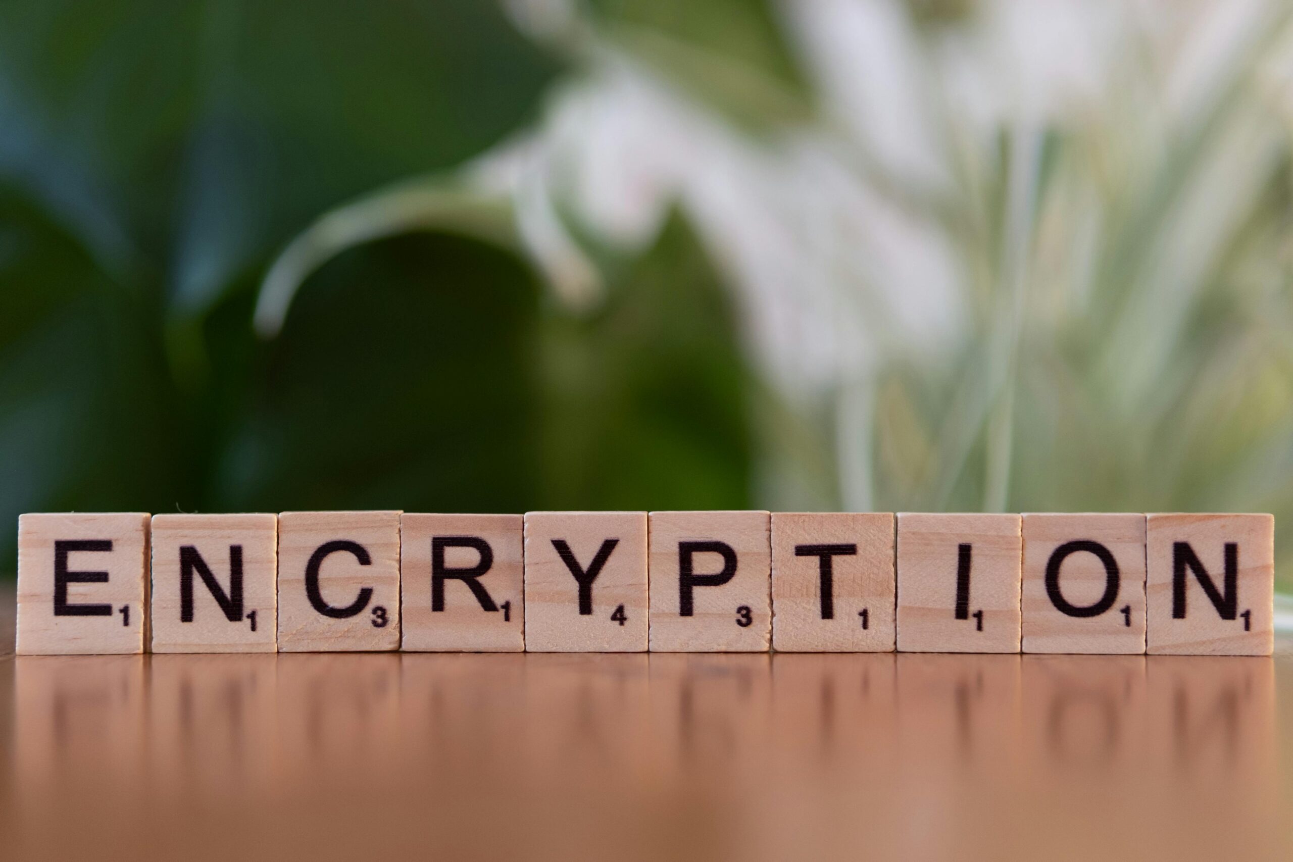Encryption